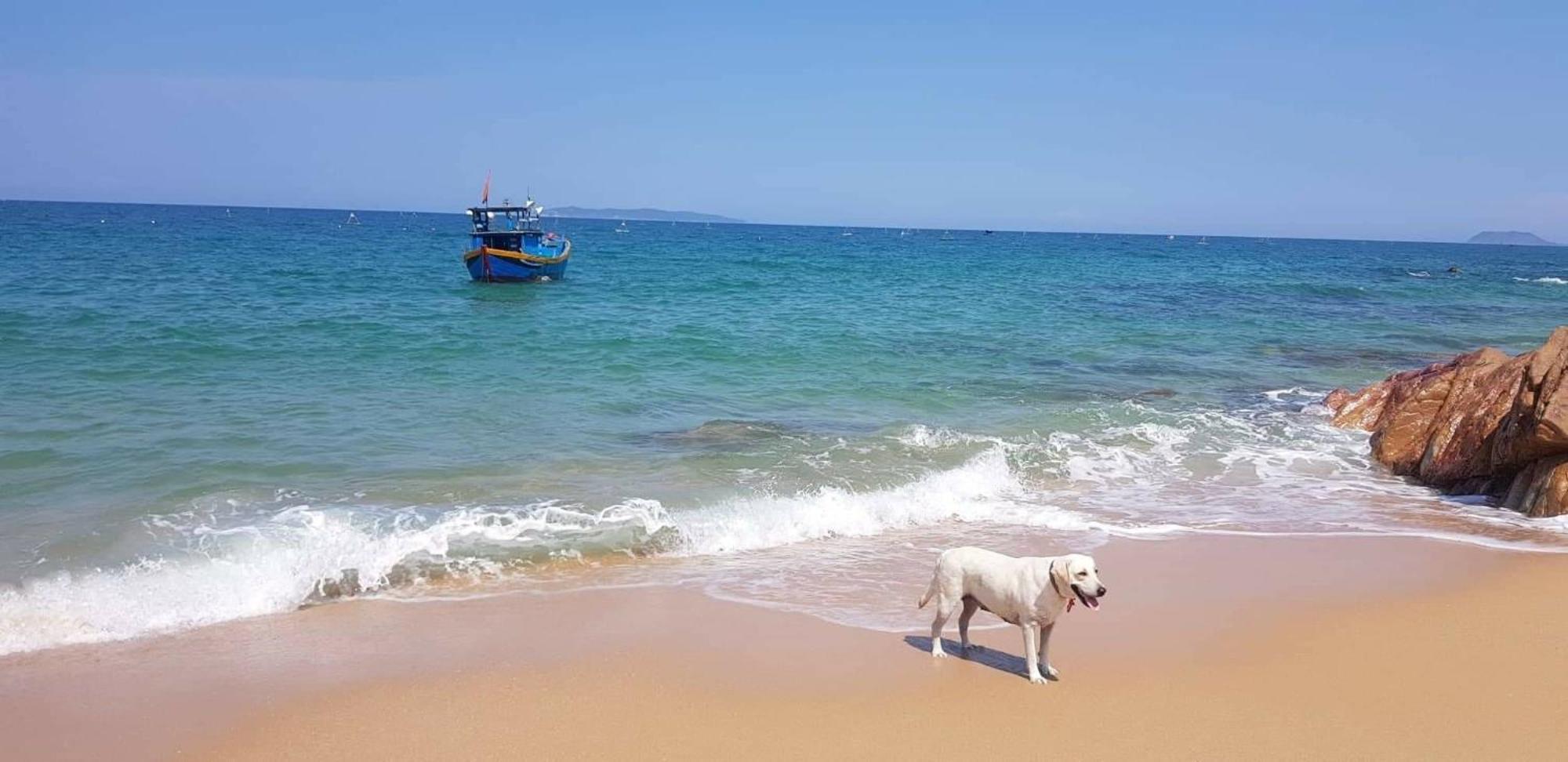 Life'S A Beach Quy Nhon Buitenkant foto